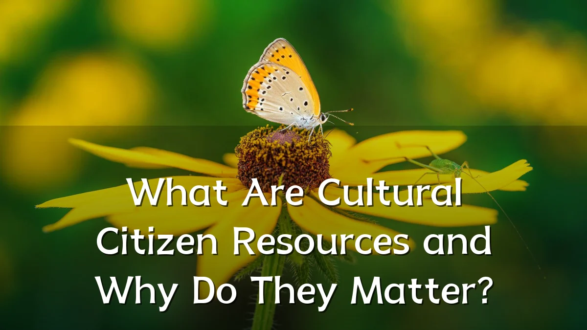 What Are Cultural Citizen Resources and Why Do They Matter?