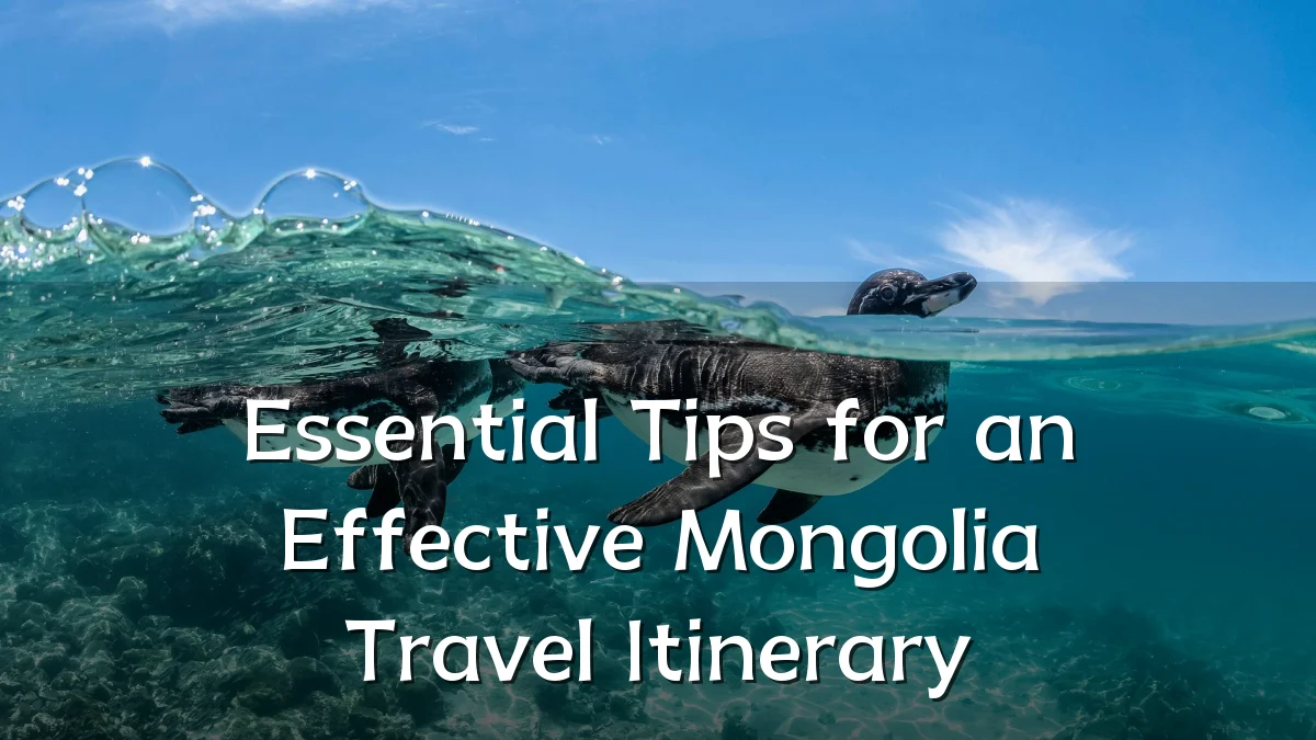 Essential Tips for an Effective Mongolia Travel Itinerary
