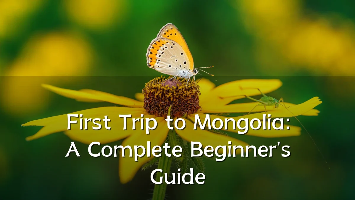 First Trip to Mongolia: A Complete Beginner's Guide