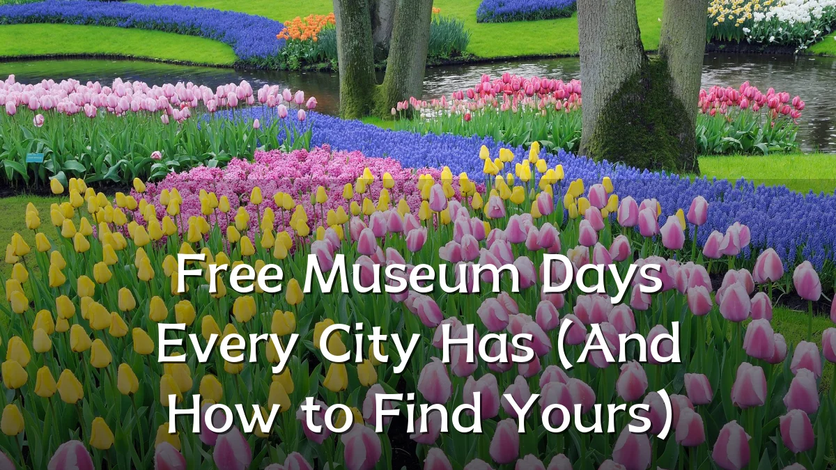 Free Museum Days Every City Has (And How to Find Yours)
