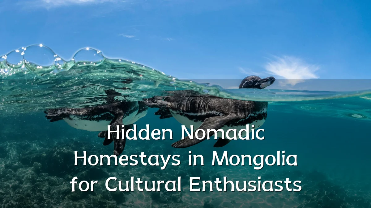 Hidden Nomadic Homestays in Mongolia for Cultural Enthusiasts