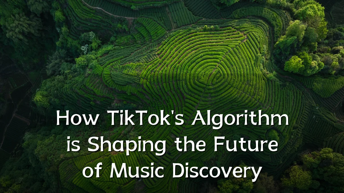 How TikTok's Algorithm is Shaping the Future of Music Discovery