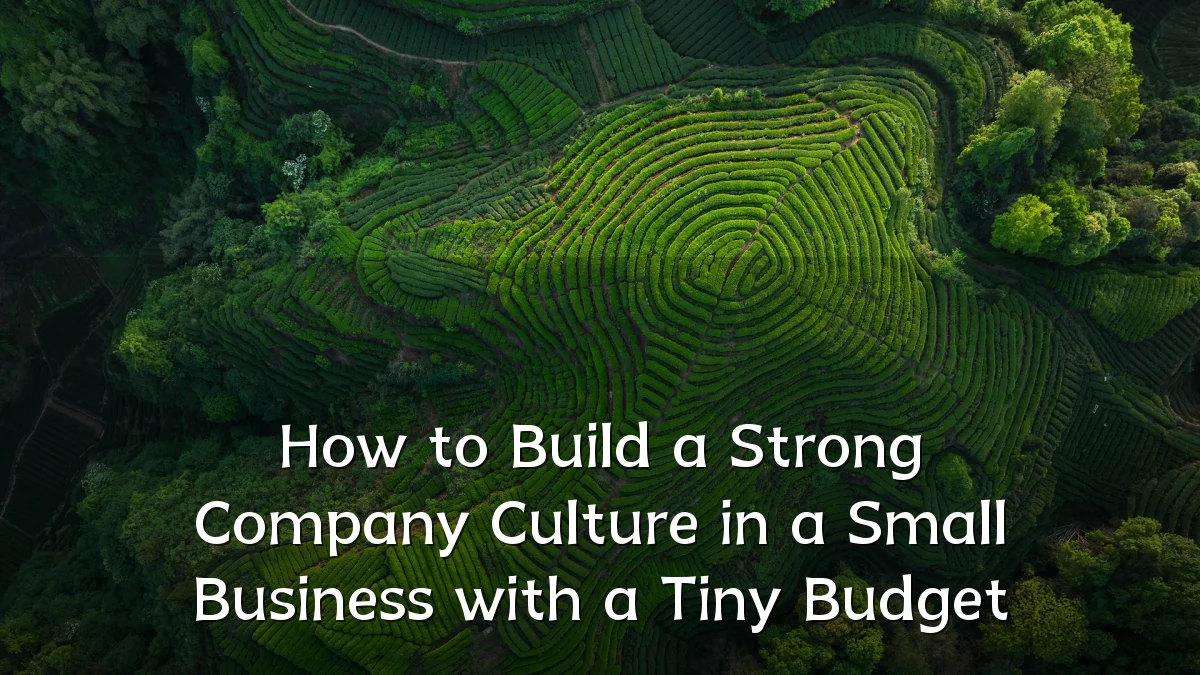 How to Build a Strong Company Culture in a Small Business with a Tiny Budget