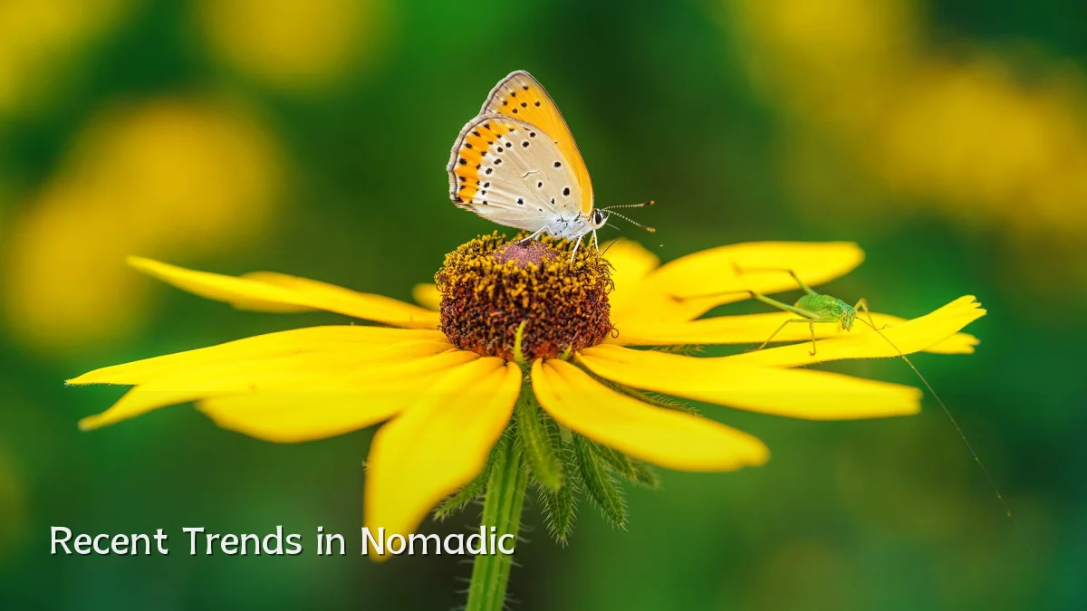 Recent Trends in Nomadic
