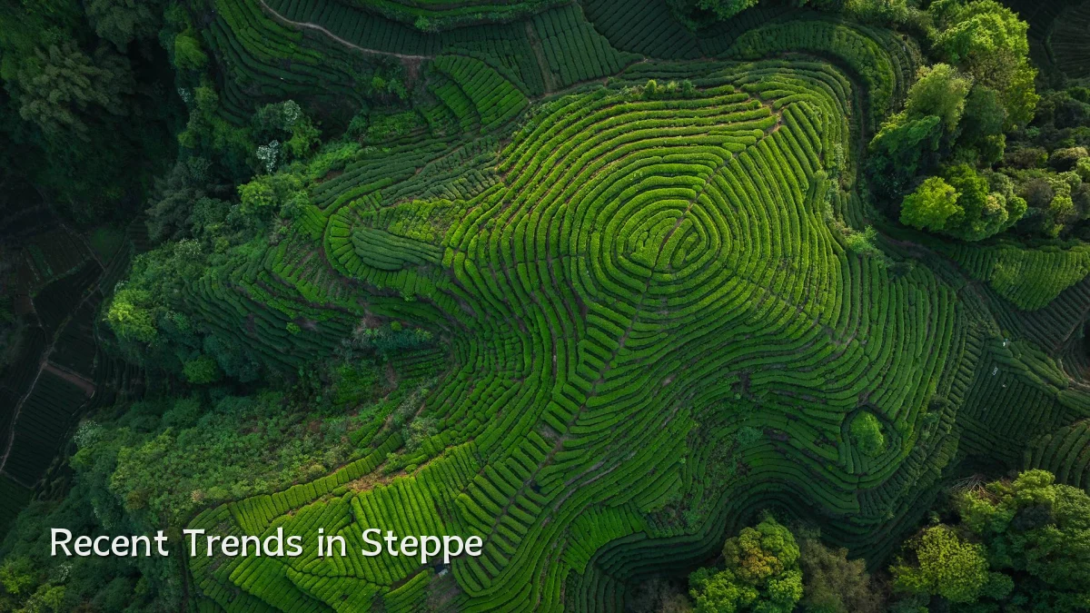 Recent Trends in Steppe