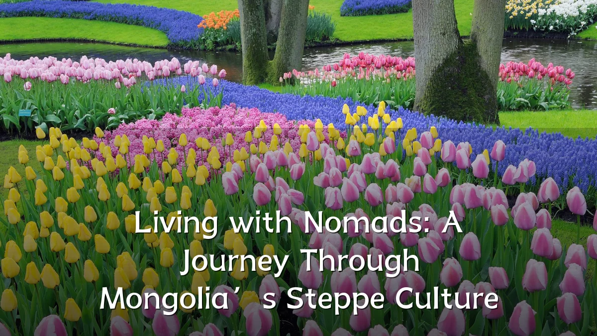 Living with Nomads: A Journey Through Mongolia’s Steppe Culture