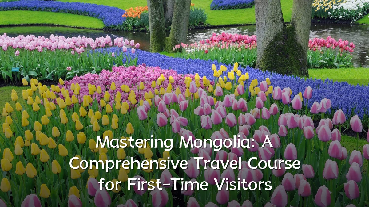 Mastering Mongolia: A Comprehensive Travel Course for First-Time Visitors