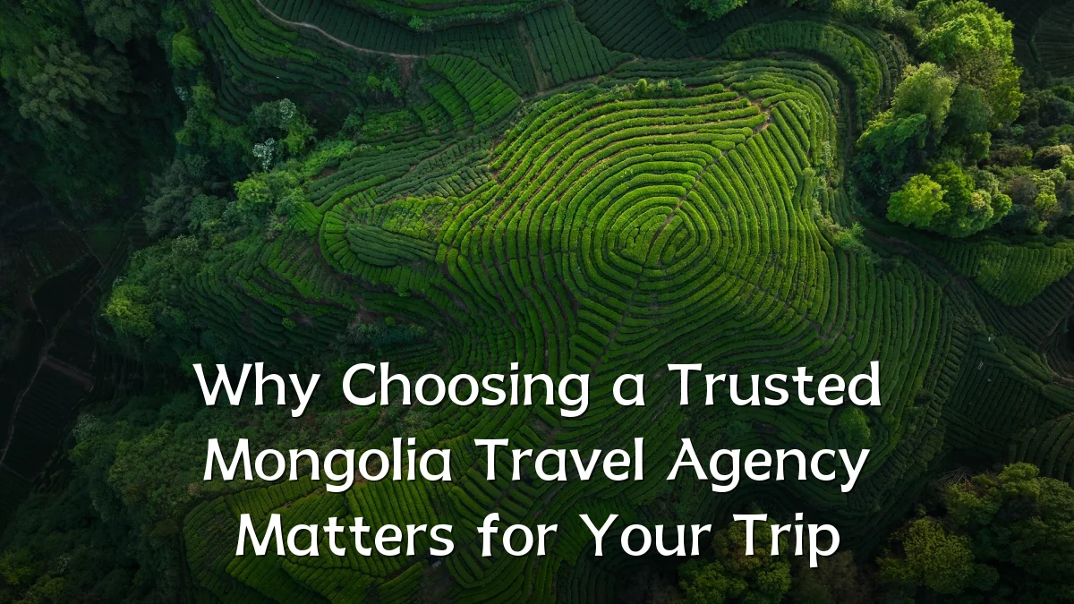 Why Choosing a Trusted Mongolia Travel Agency Matters for Your Trip