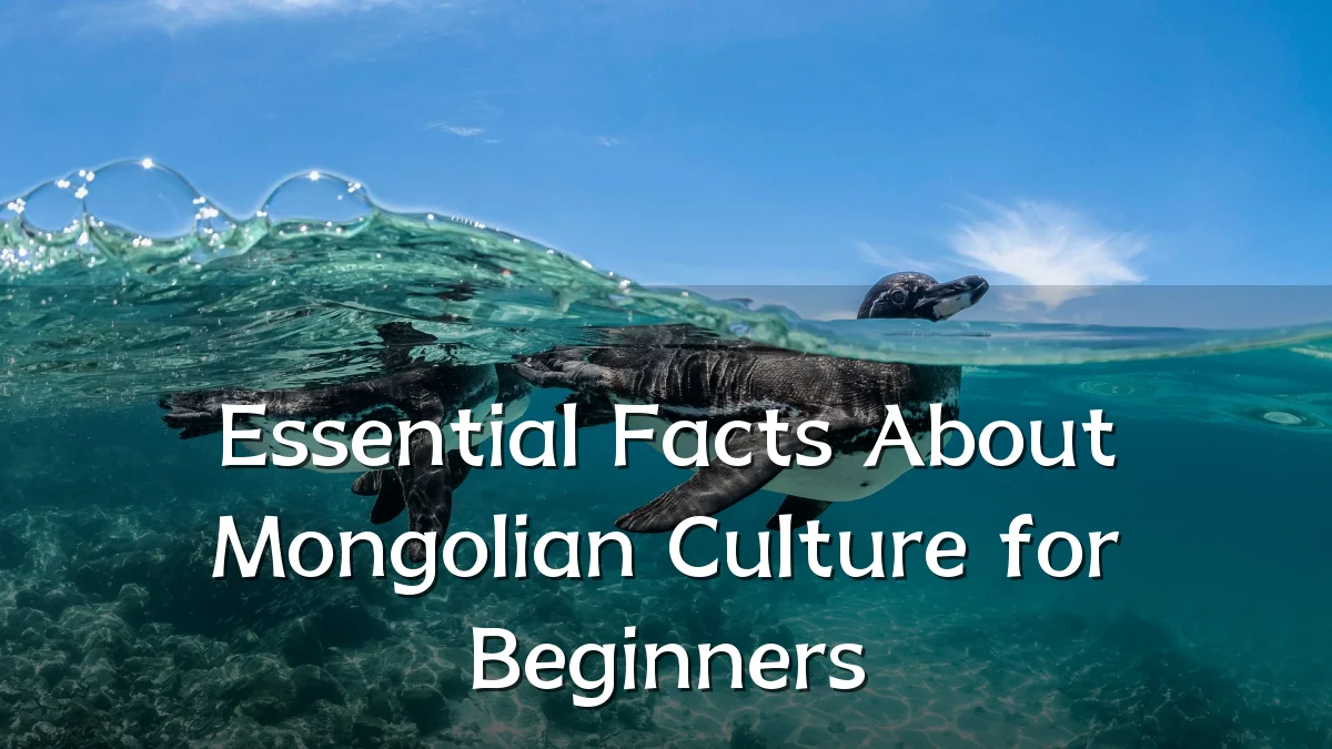 Essential Facts About Mongolian Culture for Beginners