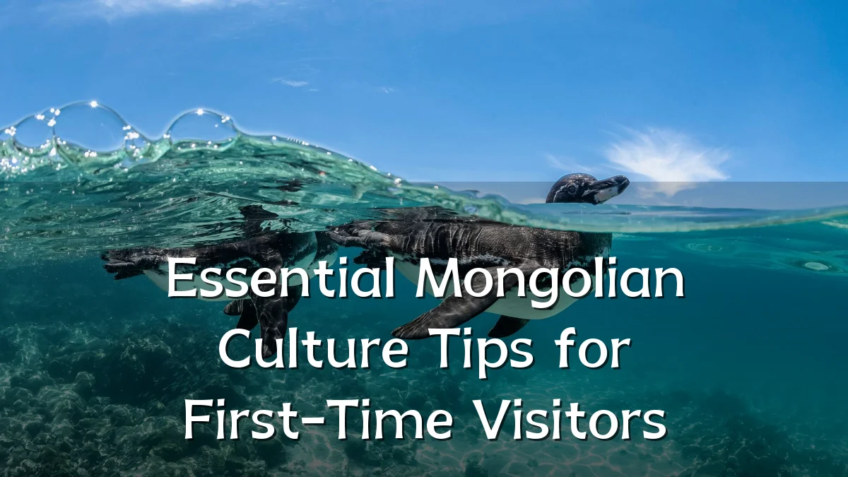 Essential Mongolian Culture Tips for First-Time Visitors