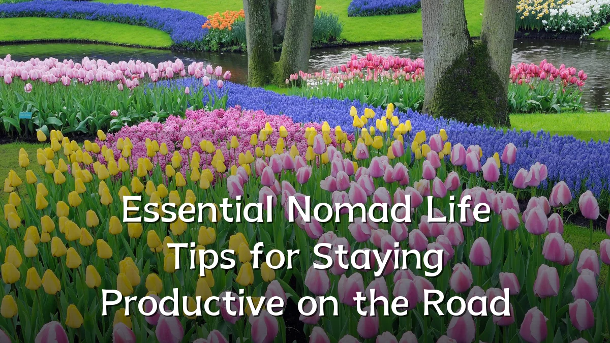 Essential Nomad Life Tips for Staying Productive on the Road