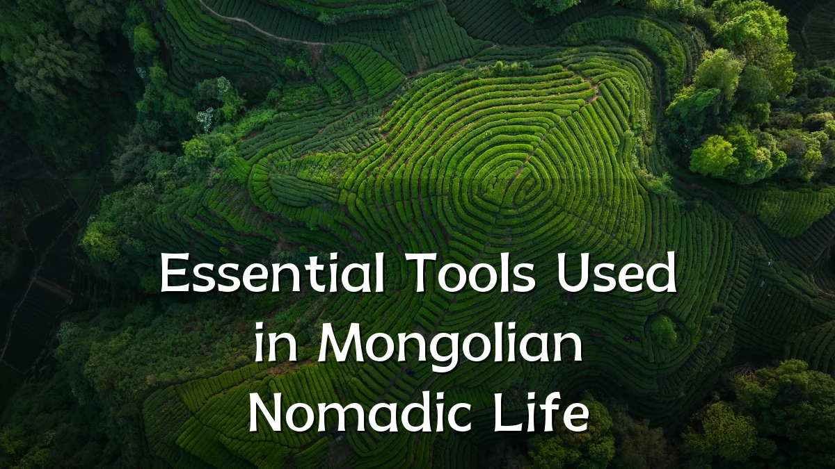 Essential Tools Used in Mongolian Nomadic Life