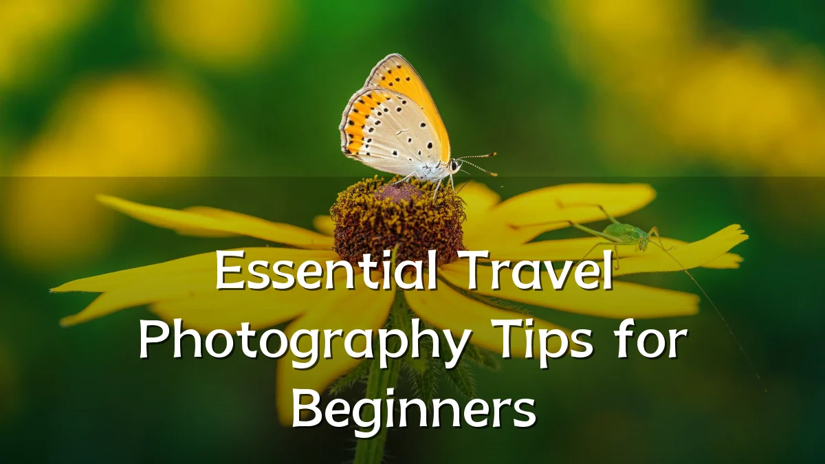 Essential Travel Photography Tips for Beginners