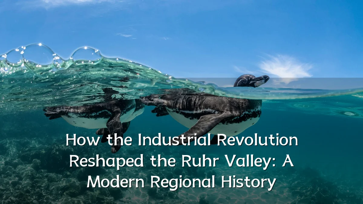 How the Industrial Revolution Reshaped the Ruhr Valley: A Modern Regional History