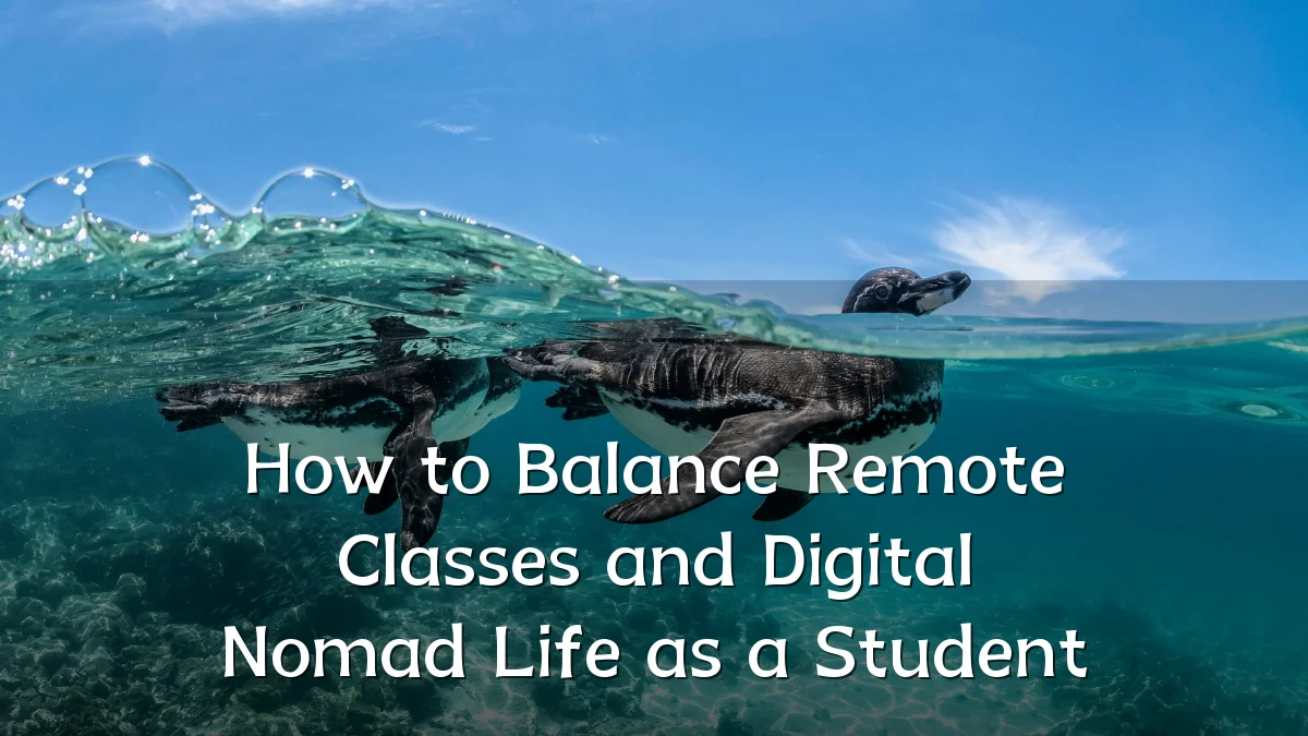 How to Balance Remote Classes and Digital Nomad Life as a Student