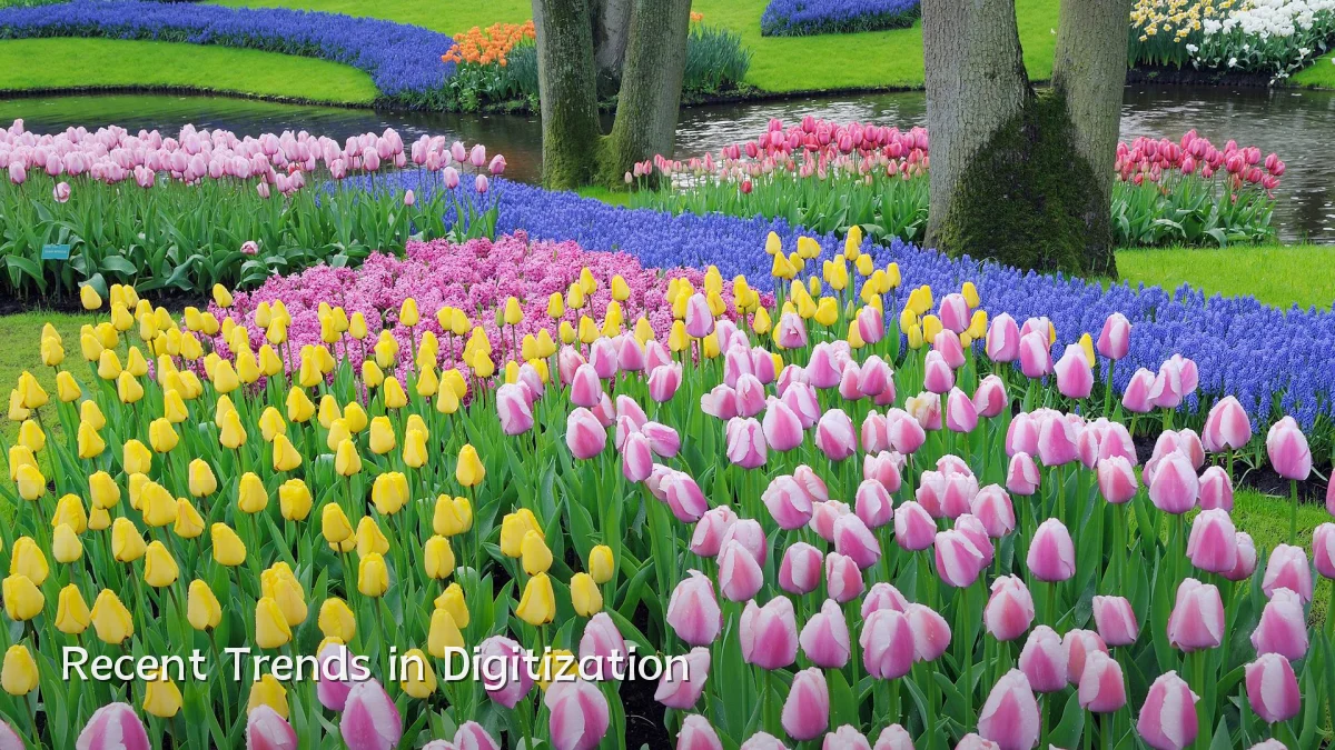 Recent Trends in Digitization