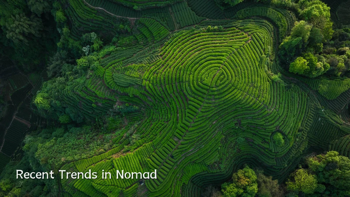 Recent Trends in Nomad