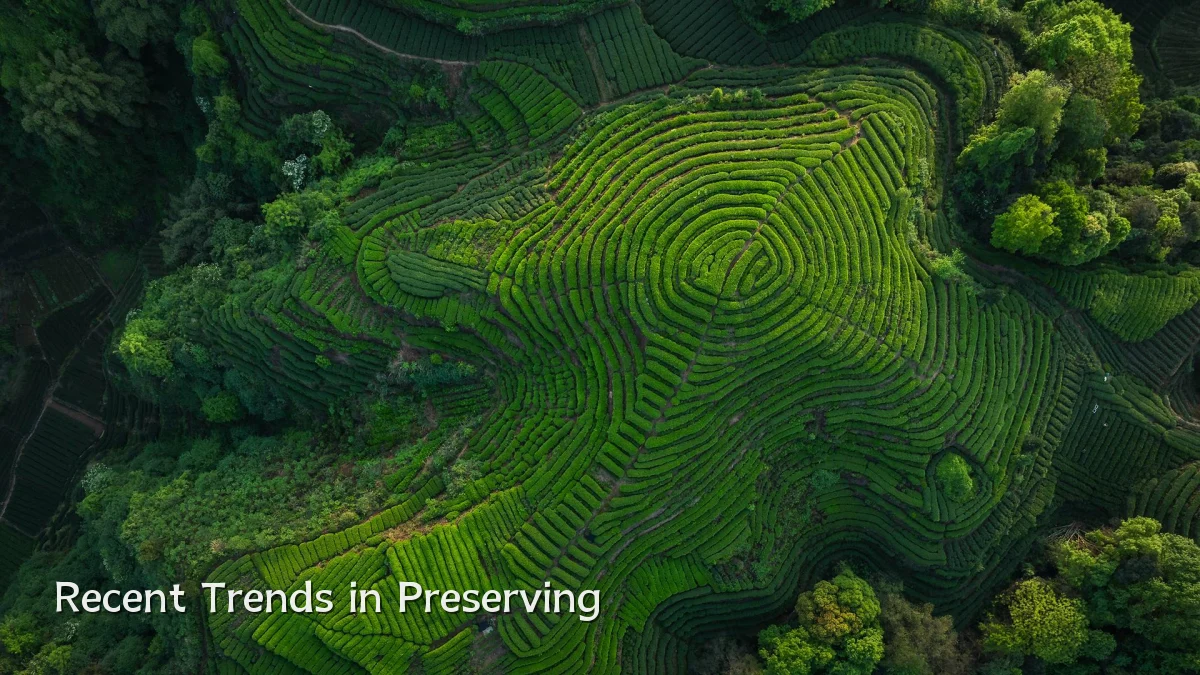 Recent Trends in Preserving
