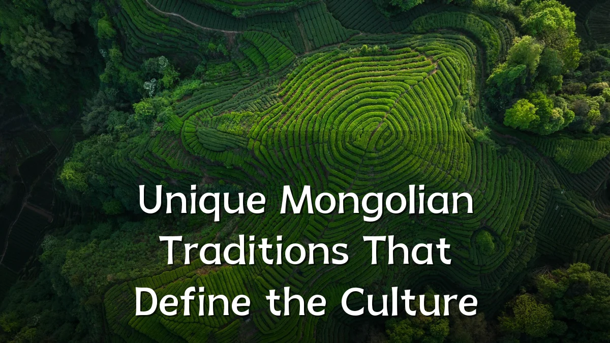 Unique Mongolian Traditions That Define the Culture