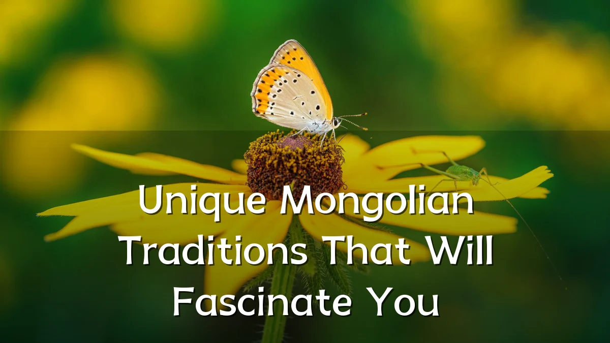 Unique Mongolian Traditions That Will Fascinate You