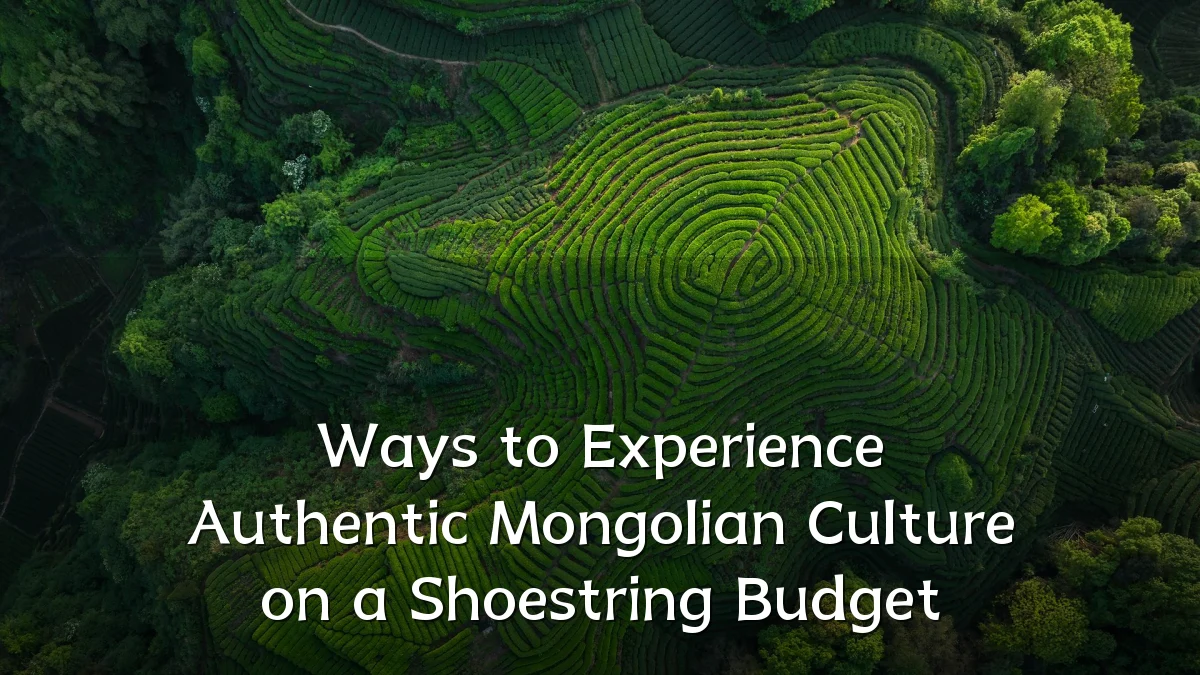 Ways to Experience Authentic Mongolian Culture on a Shoestring Budget