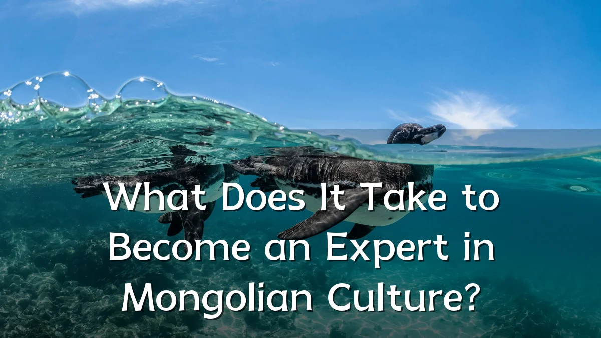 What Does It Take to Become an Expert in Mongolian Culture?