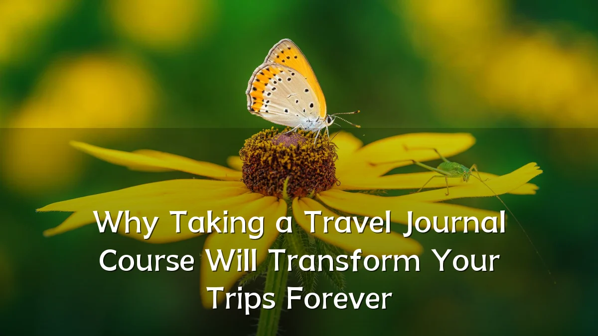 Why Taking a Travel Journal Course Will Transform Your Trips Forever
