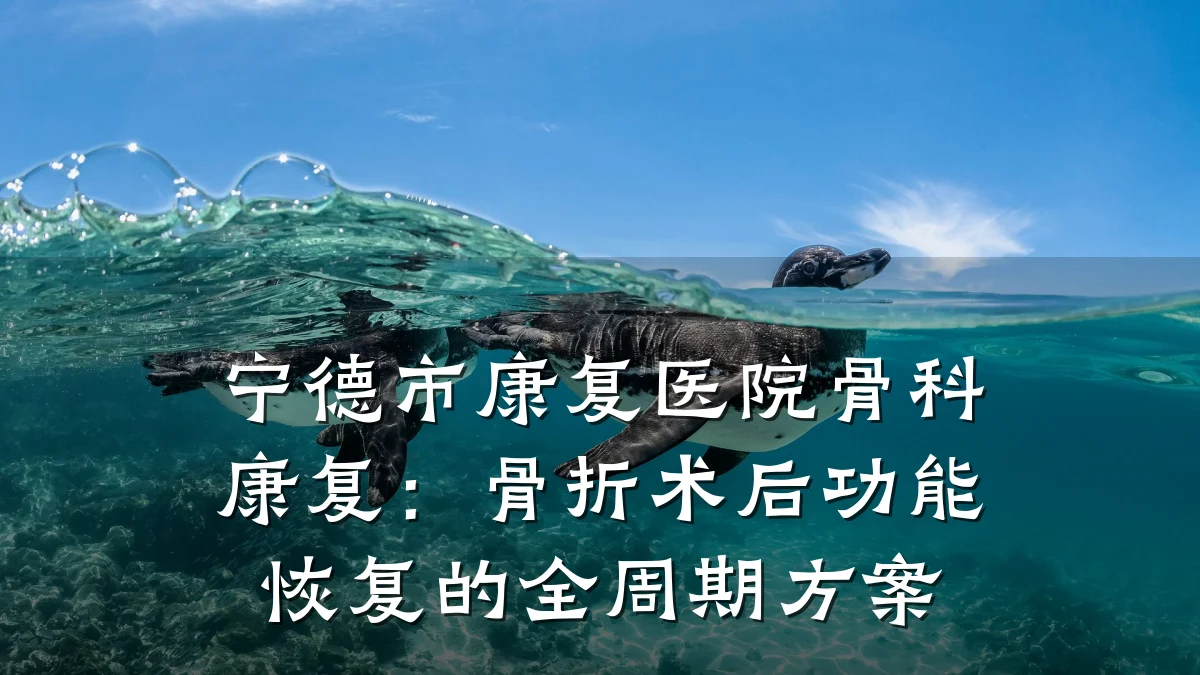 宁德市康复医院骨科康复：骨折术后功能恢复的全周期方案